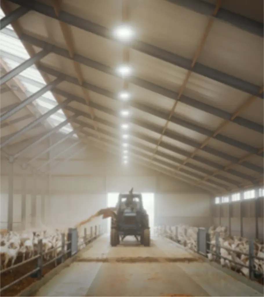 Panneaux sandwich agricoles distribués par ISOSELL et installés sur une exploitation. Solution d’isolation pour hangars et élevages.