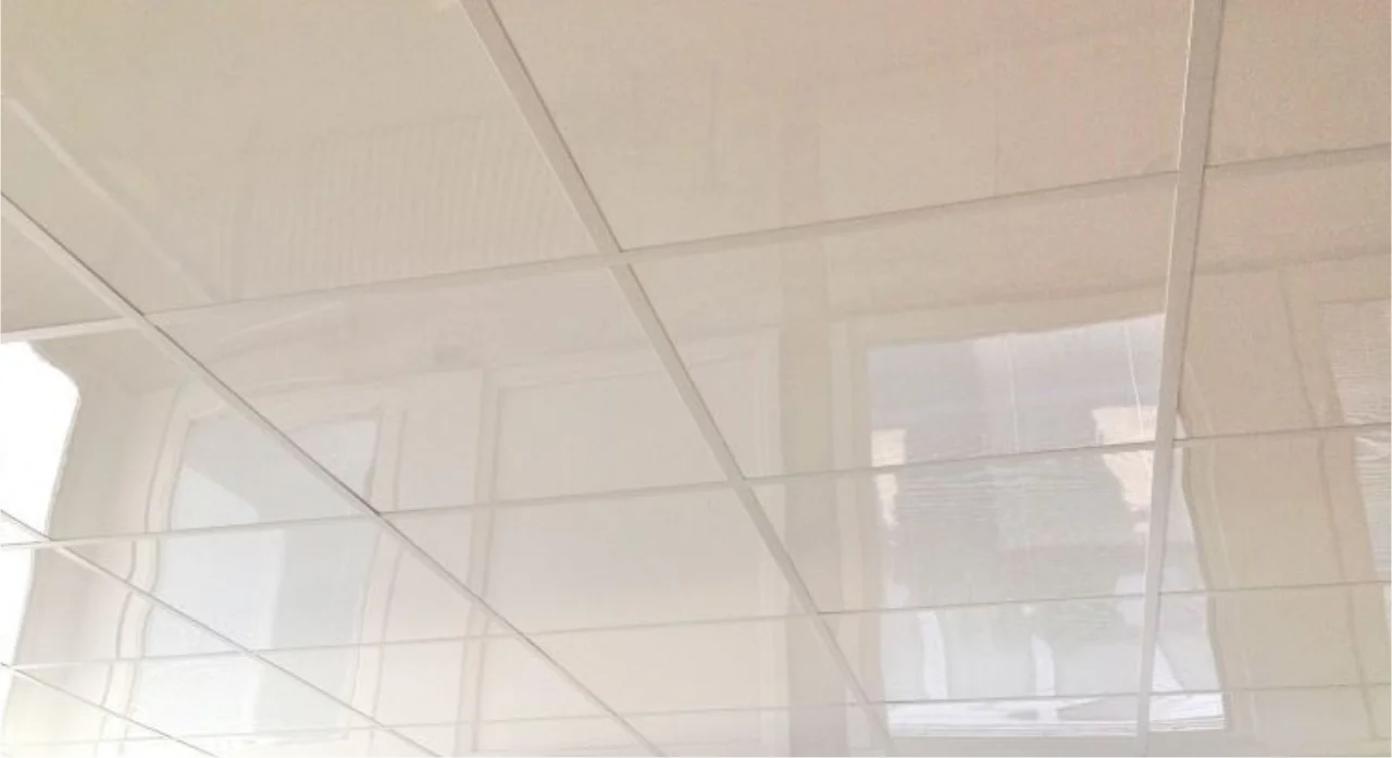 Dalles de plafond hygiénique pour cuisines professionnelles et locaux agroalimentaires ISOSELL