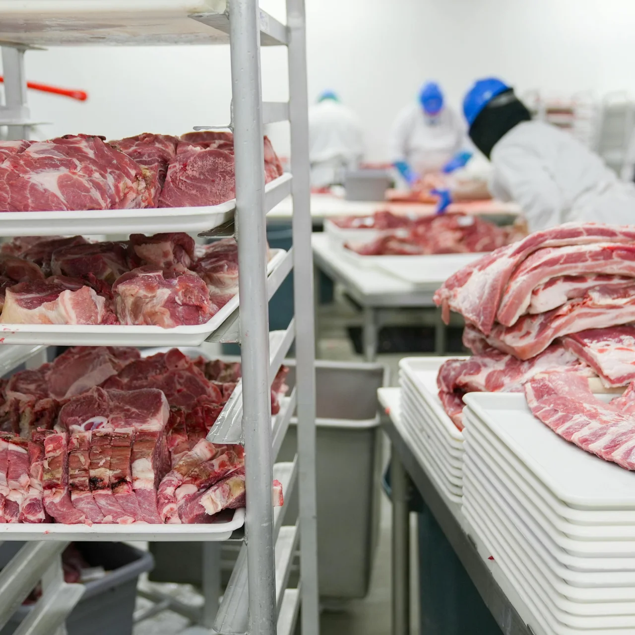 Atelier de transformation de viande en industrie agroalimentaire avec manipulation de matières premières et respect des règles d’hygiène pour limiter les contaminations microbiologiques - ISOSELL
